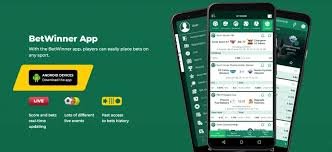 The Ultimate Guide to BetWinner Casino