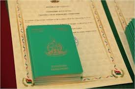 Understanding the Cost of a Vanuatu Passport Fees and Services Understanding the Cost of a Vanuatu Passport Fees and Services